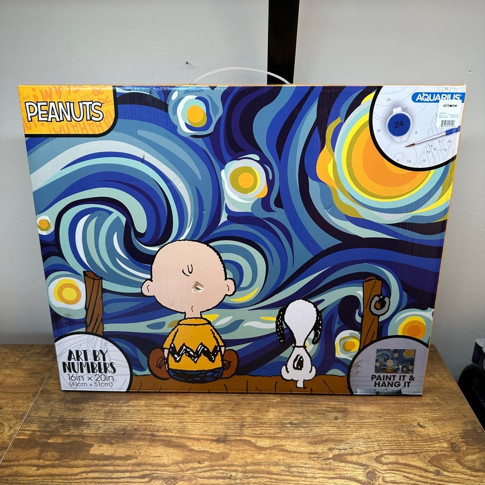 Aquarius Peanuts Starry Night Charlie Brown Art by Numbers Paint Kit 16x20 88008